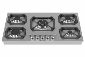 اجاق گاز  توکار داتیس  DS513